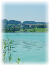 Tachinger See
